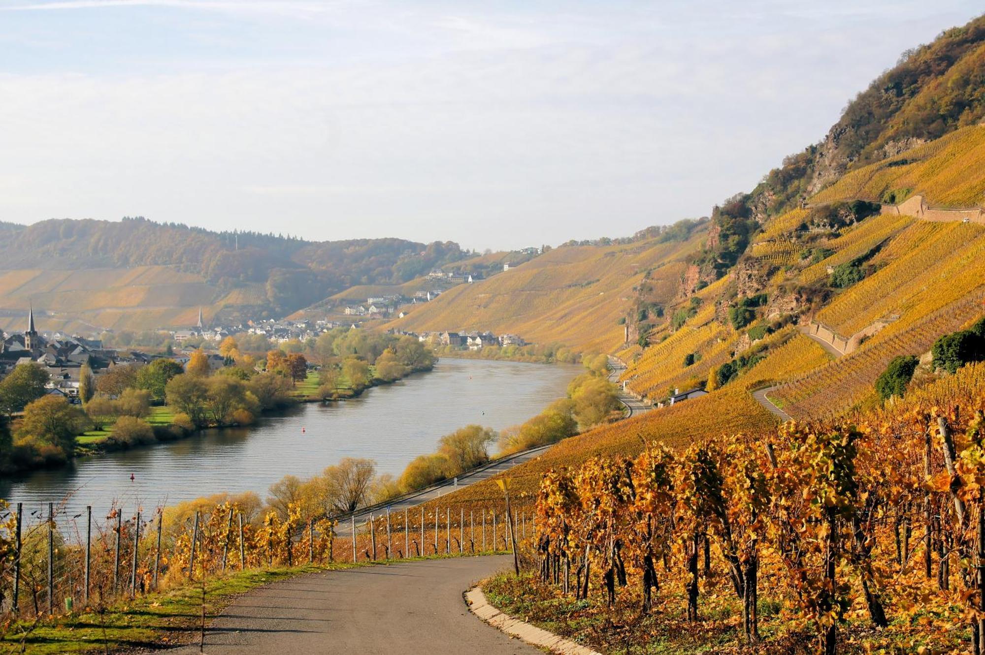 Weingut / Gaestehaus Gerlach Ürzig Exterior foto