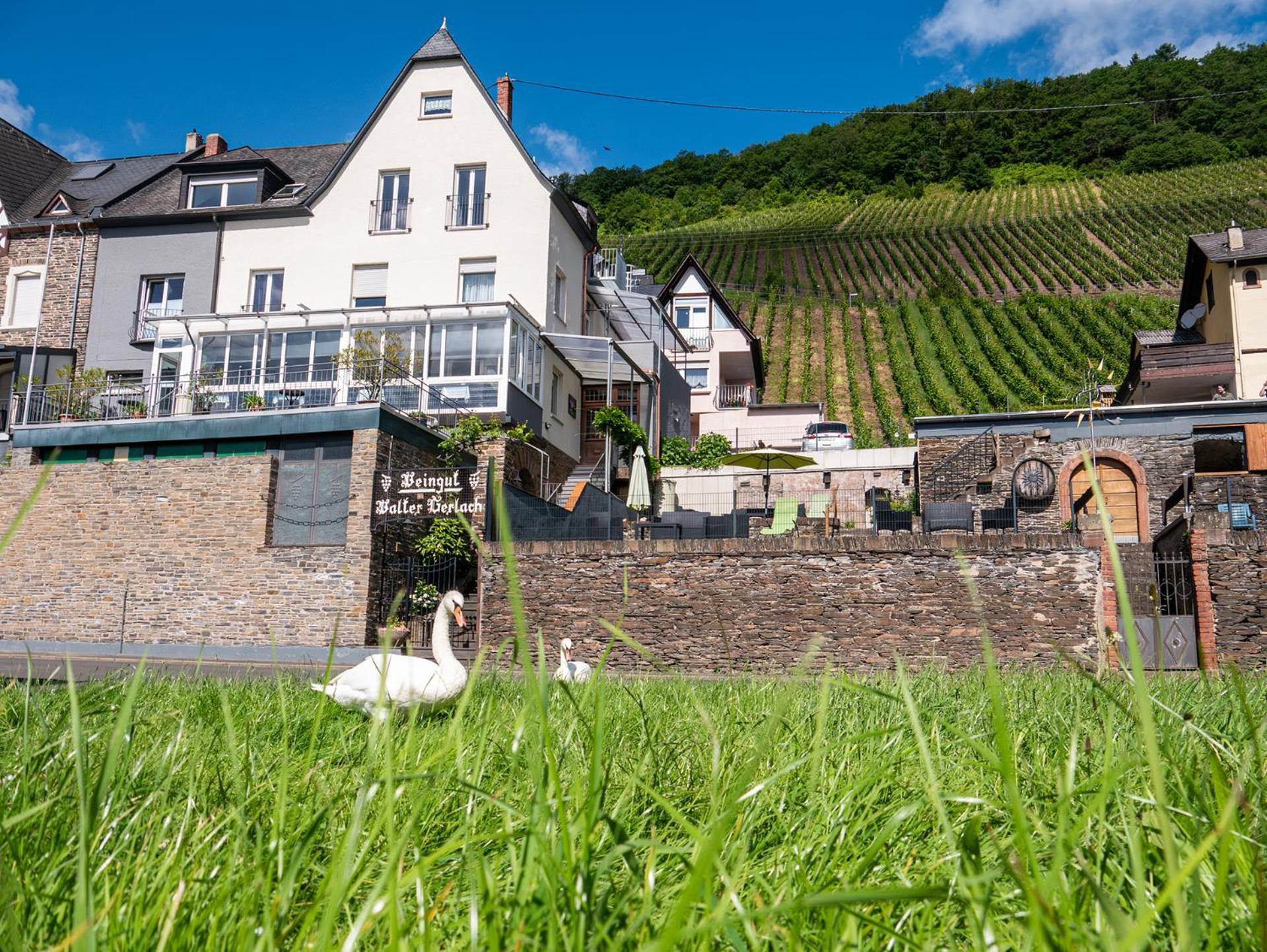 Weingut / Gaestehaus Gerlach Ürzig Exterior foto