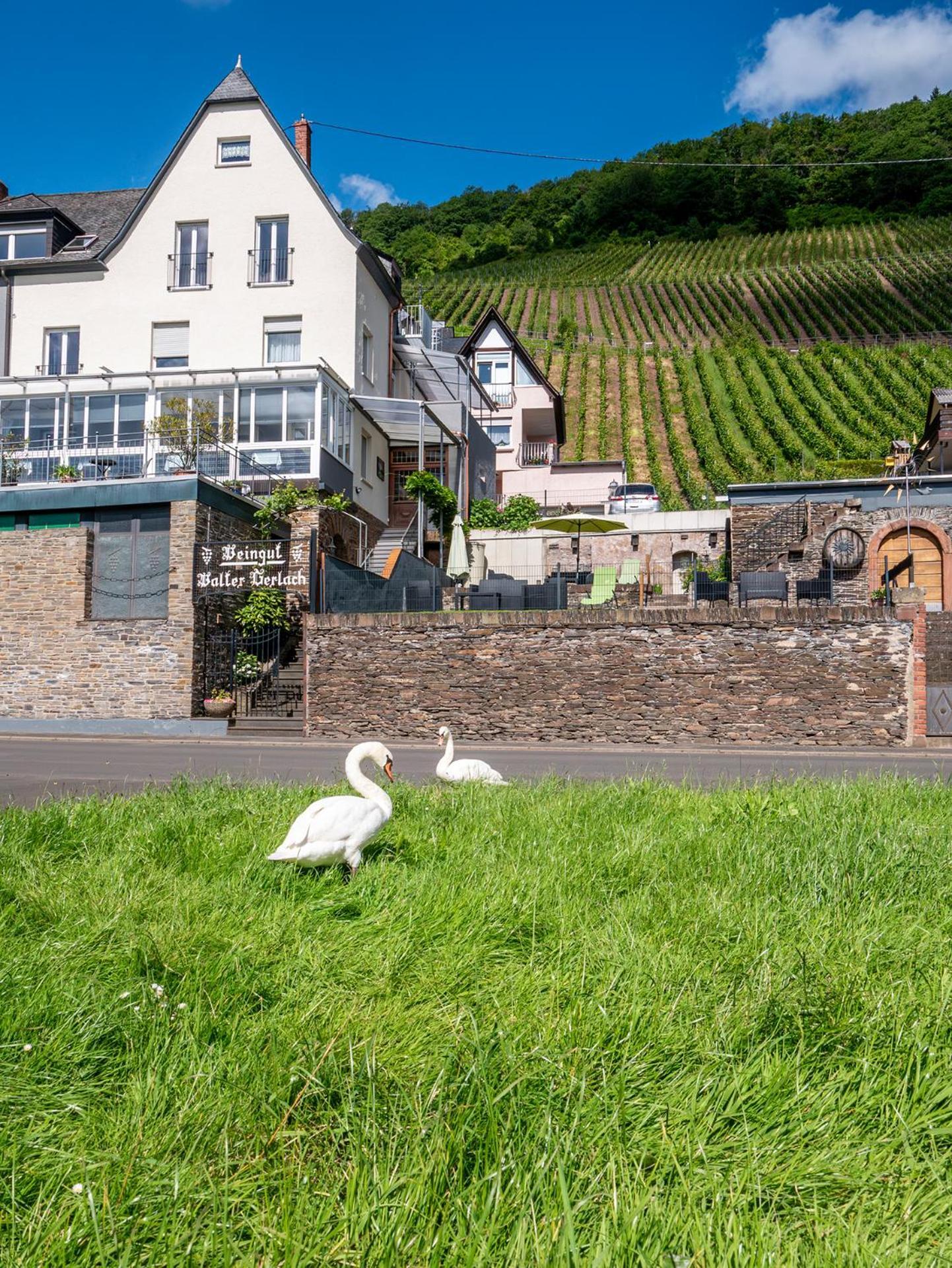Weingut / Gaestehaus Gerlach Ürzig Exterior foto